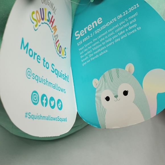 Serene the Teal Squirrel 16" Squishmallow Plush - BAM Exclusive Rainbow Tail NEW - Picture 3 of 6